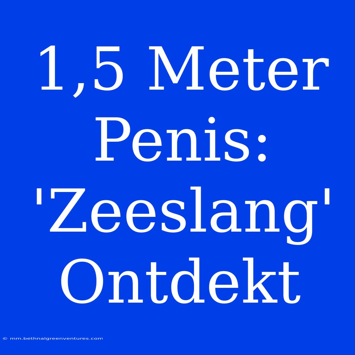 1,5 Meter Penis: 'Zeeslang' Ontdekt