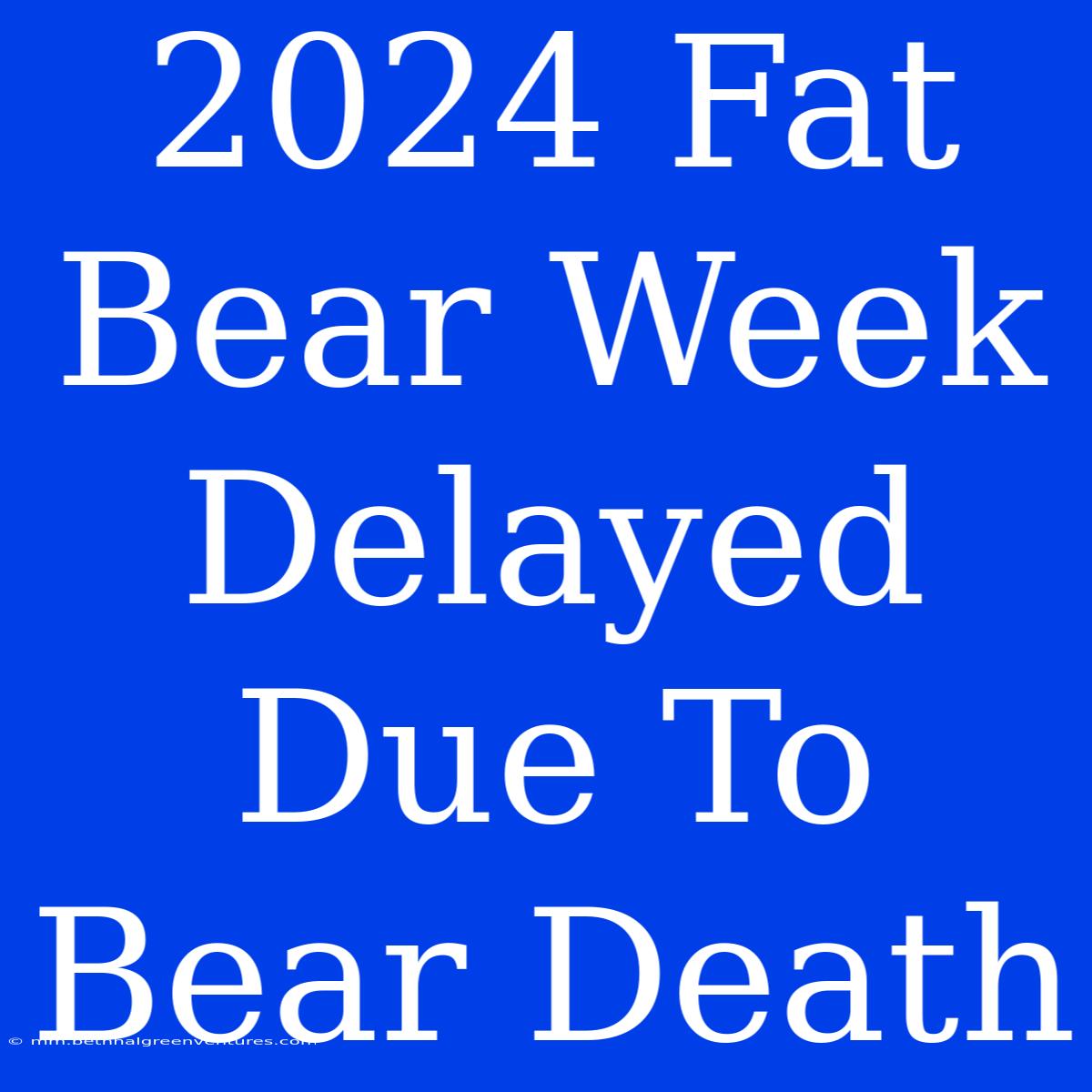 2024 Fat Bear Week Delayed Due To Bear Death