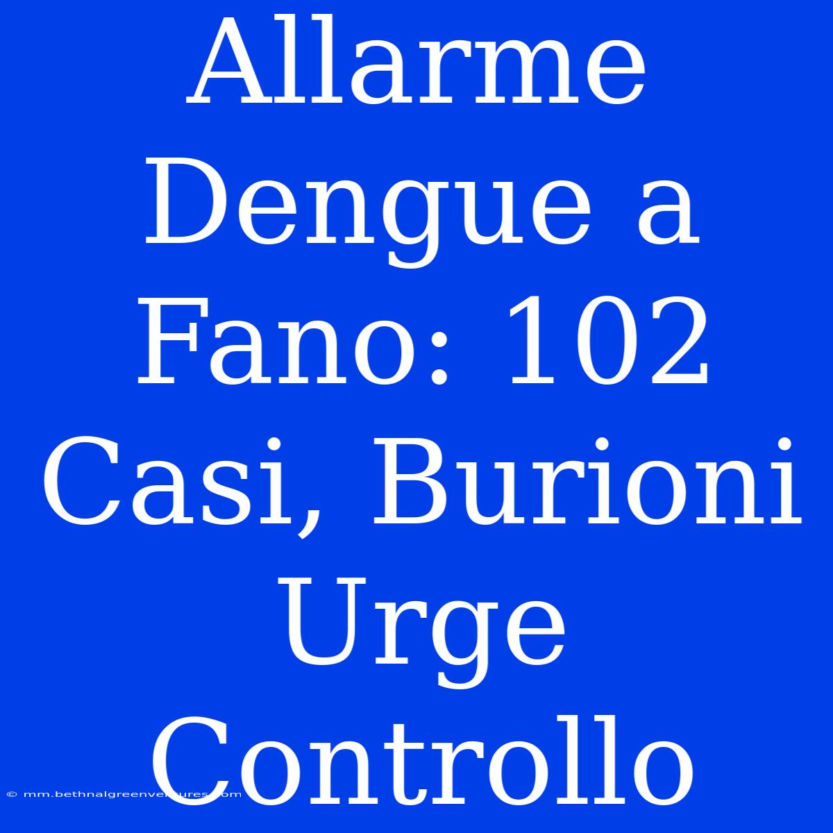 Allarme Dengue A Fano: 102 Casi, Burioni Urge Controllo