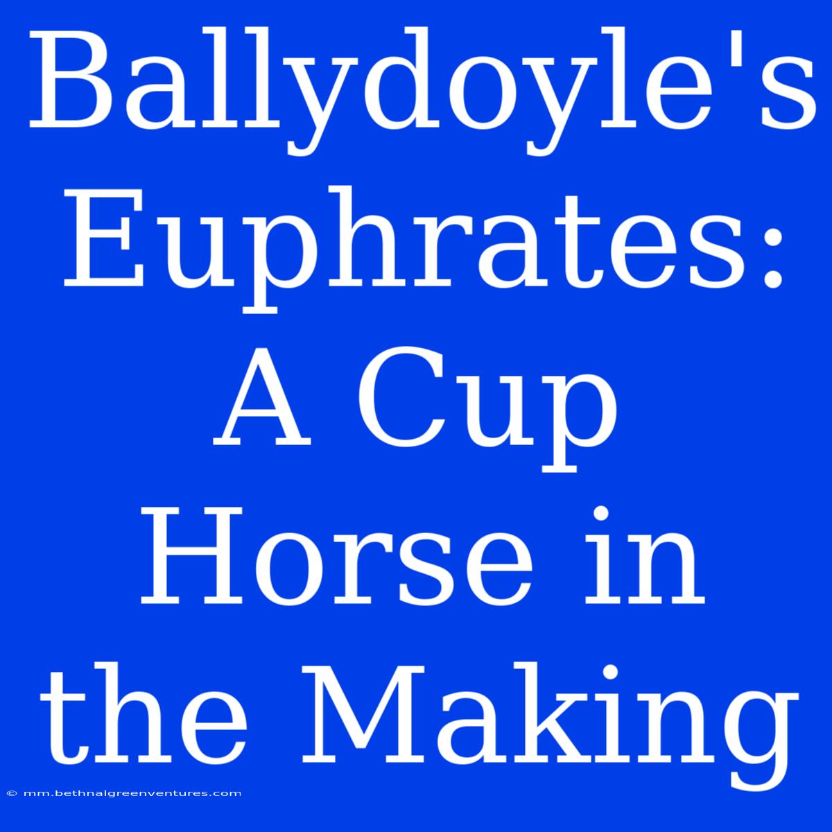 Ballydoyle's Euphrates: A Cup Horse In The Making