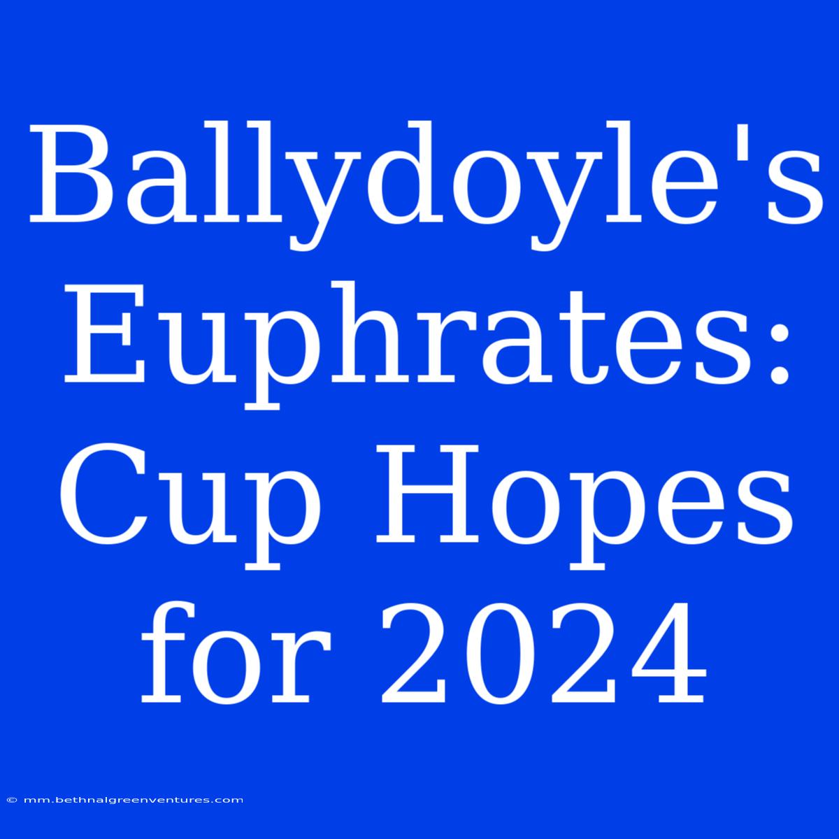 Ballydoyle's Euphrates: Cup Hopes For 2024