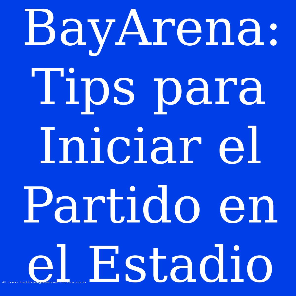 BayArena: Tips Para Iniciar El Partido En El Estadio