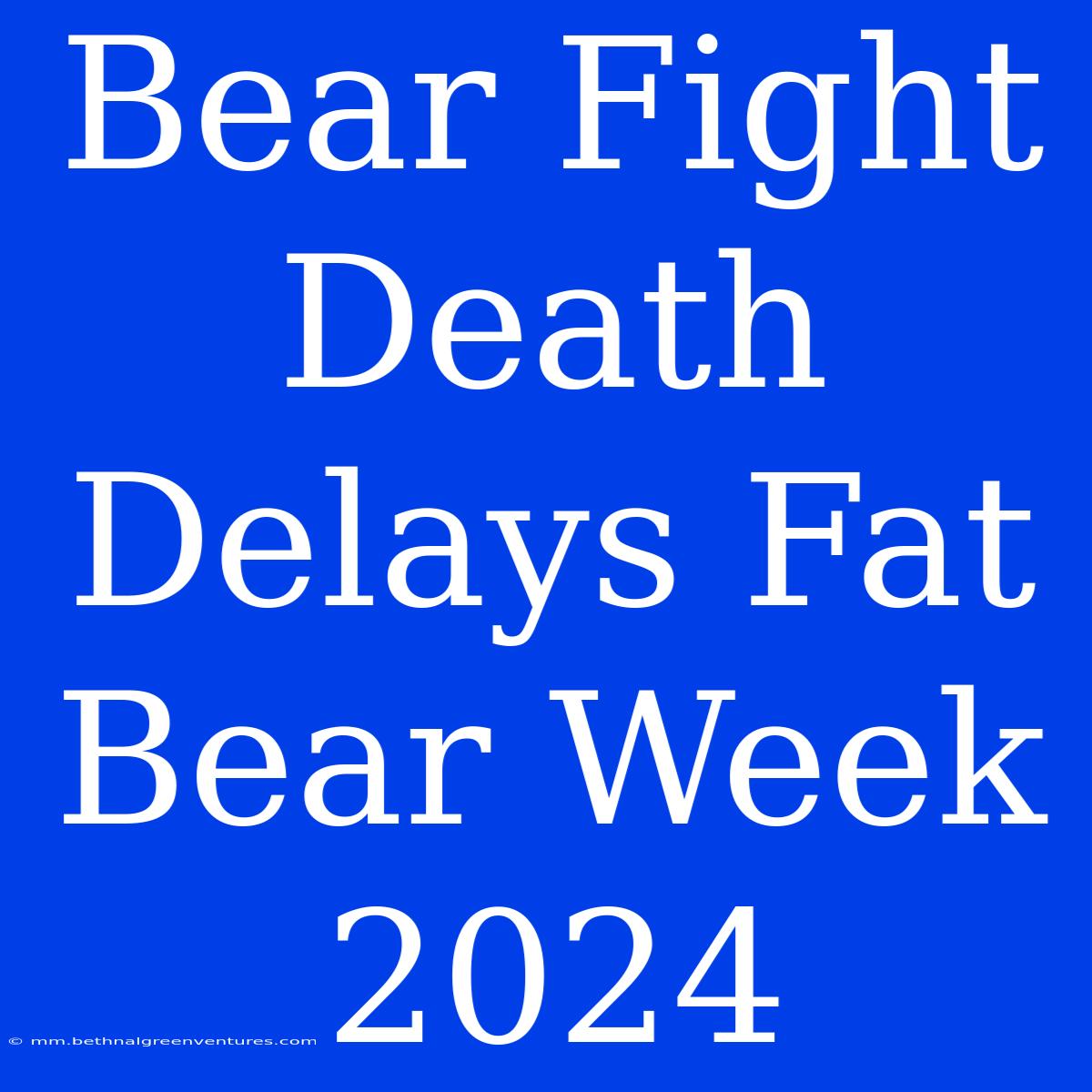 Bear Fight Death Delays Fat Bear Week 2024