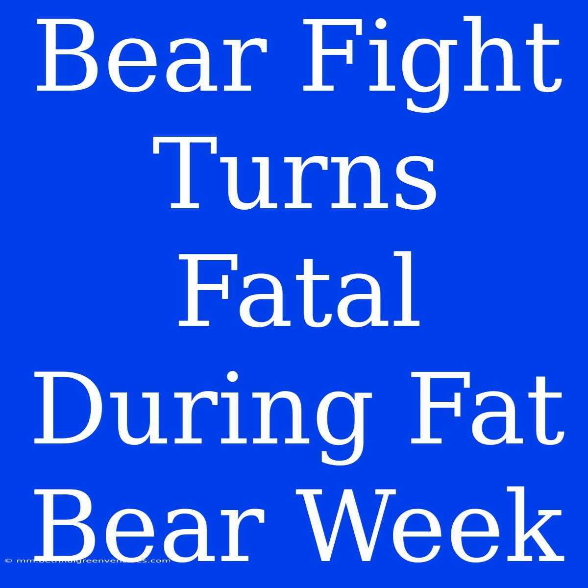 Bear Fight Turns Fatal During Fat Bear Week 