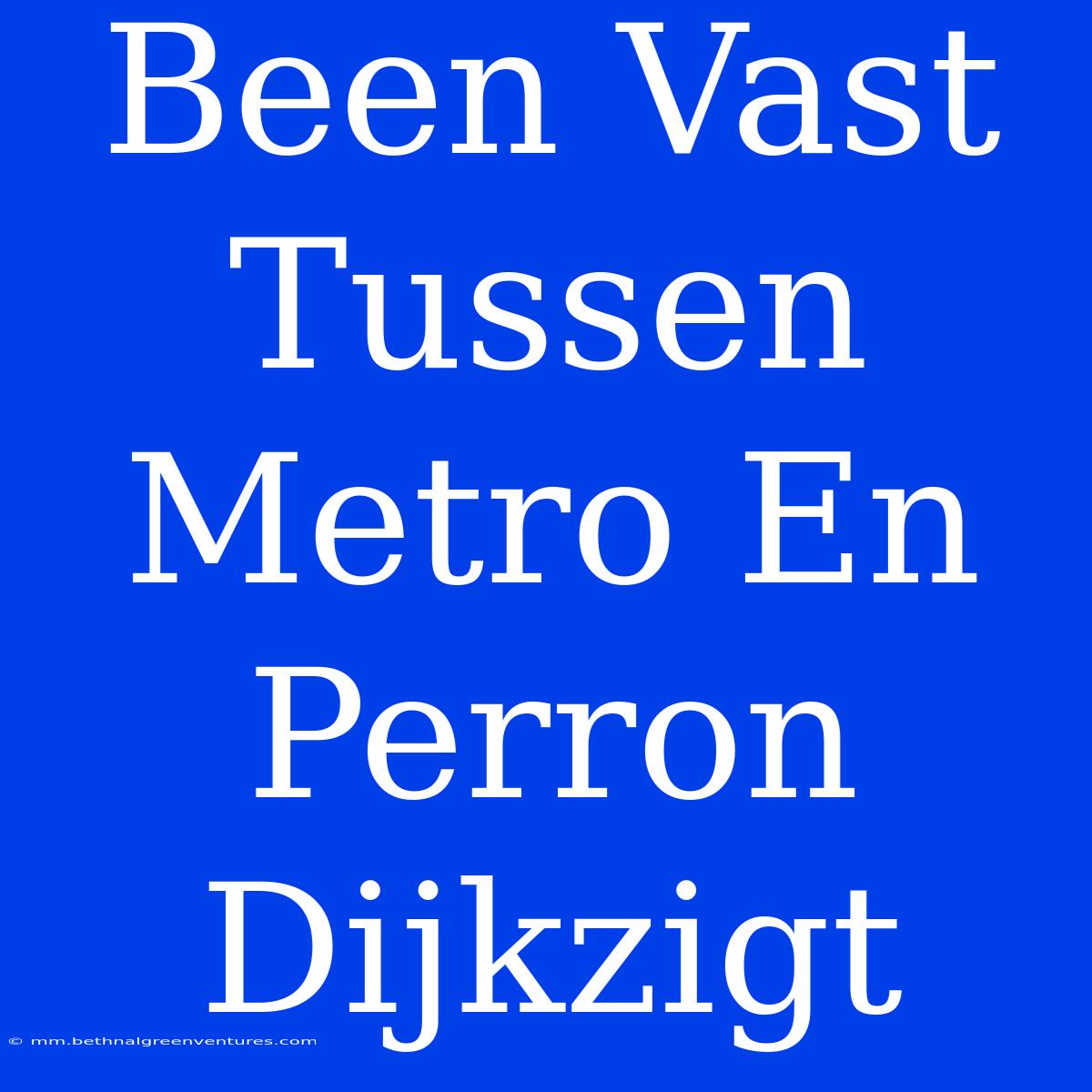 Been Vast Tussen Metro En Perron Dijkzigt