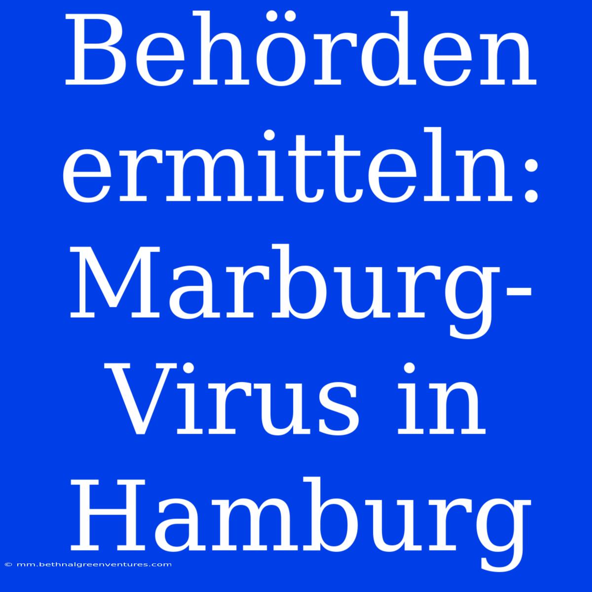 Behörden Ermitteln: Marburg-Virus In Hamburg