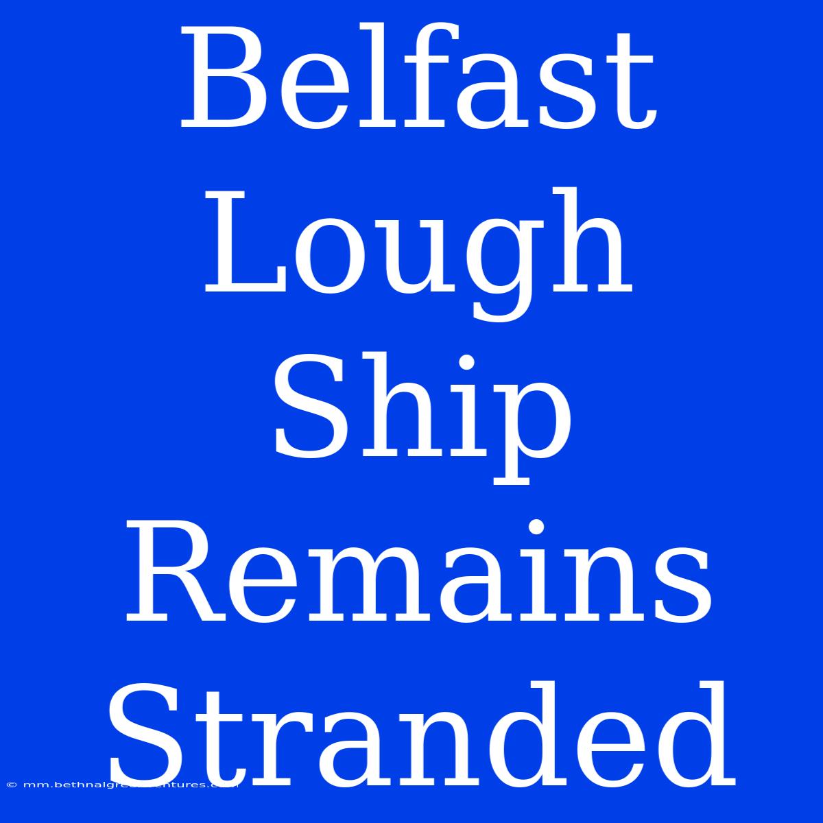 Belfast Lough Ship Remains Stranded