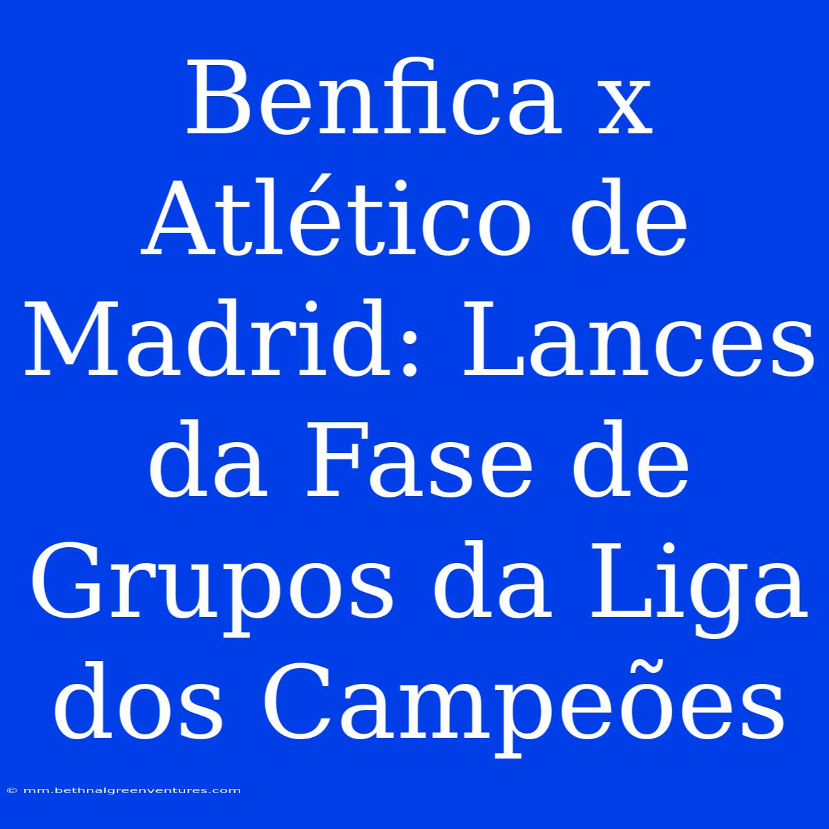 Benfica X Atlético De Madrid: Lances Da Fase De Grupos Da Liga Dos Campeões