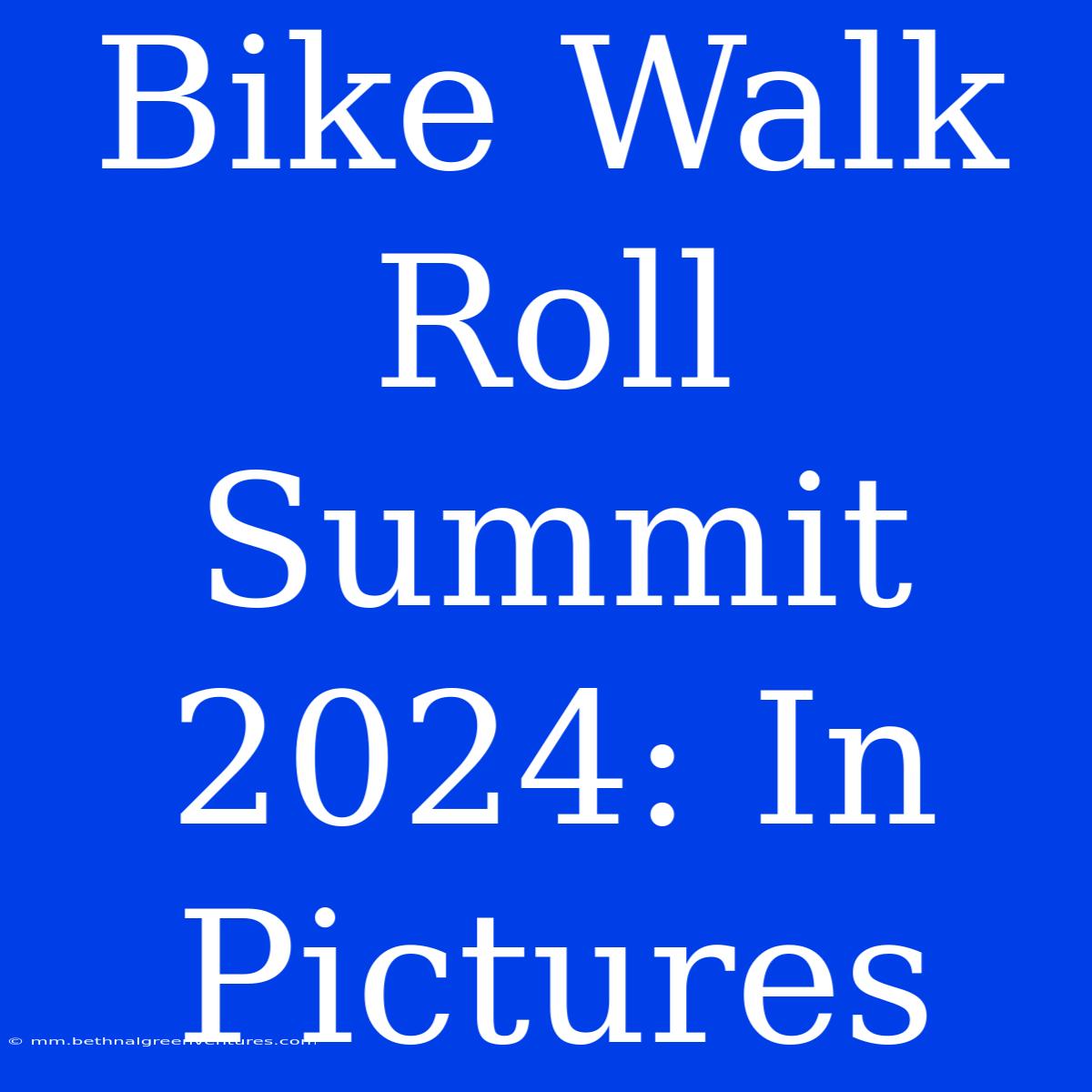 Bike Walk Roll Summit 2024: In Pictures