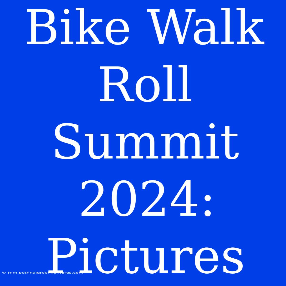 Bike Walk Roll Summit 2024: Pictures