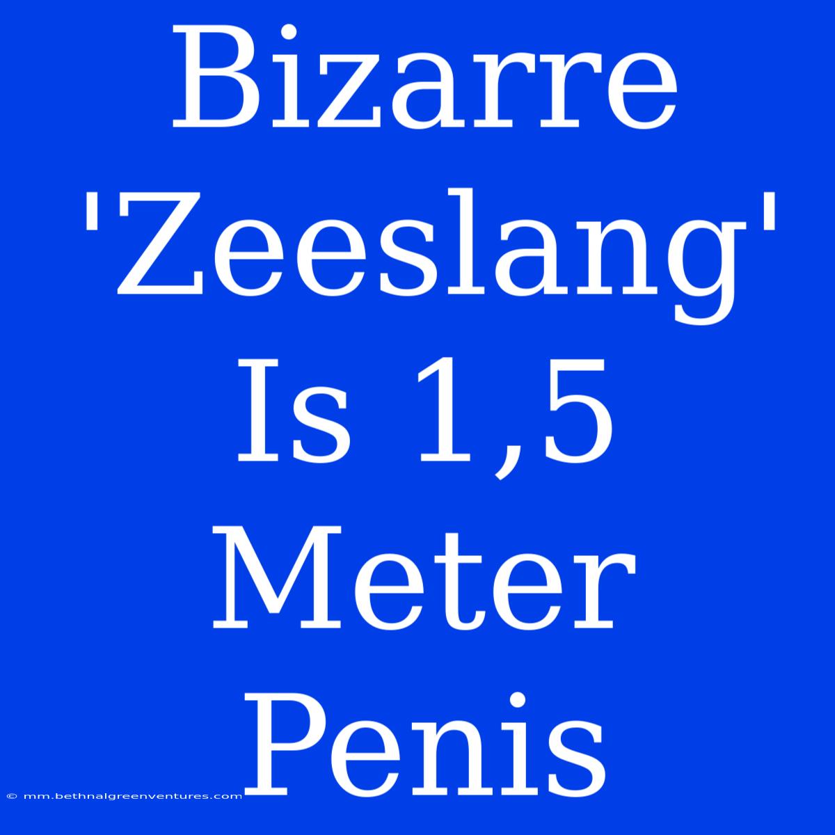 Bizarre 'Zeeslang' Is 1,5 Meter Penis