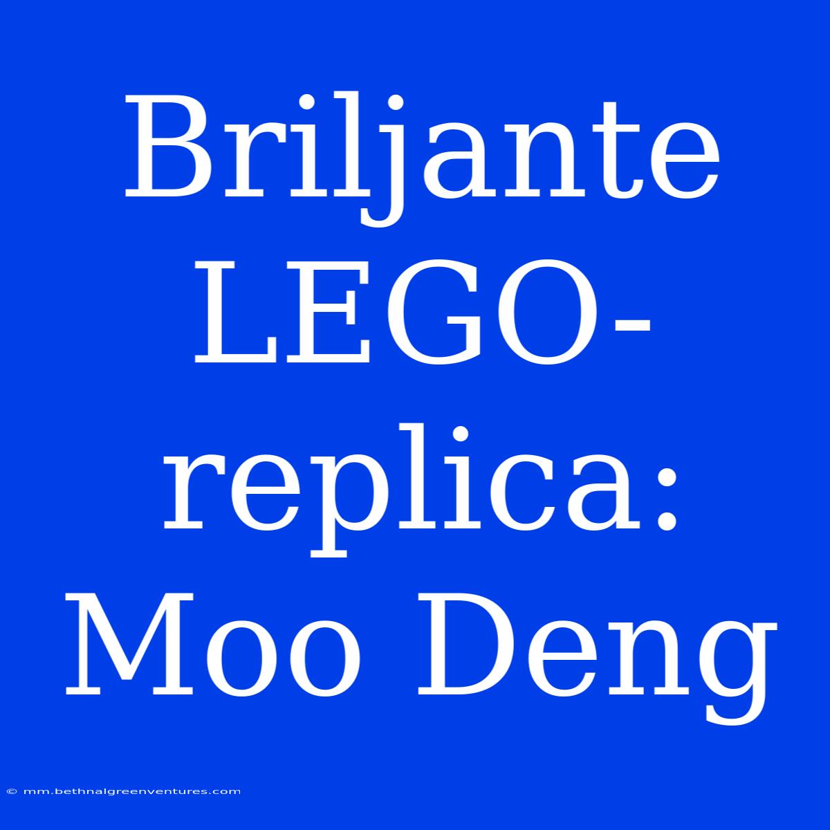 Briljante LEGO-replica: Moo Deng