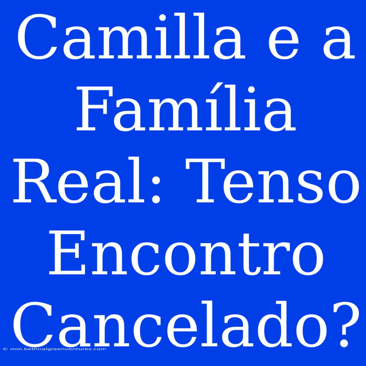 Camilla E A Família Real: Tenso Encontro Cancelado?