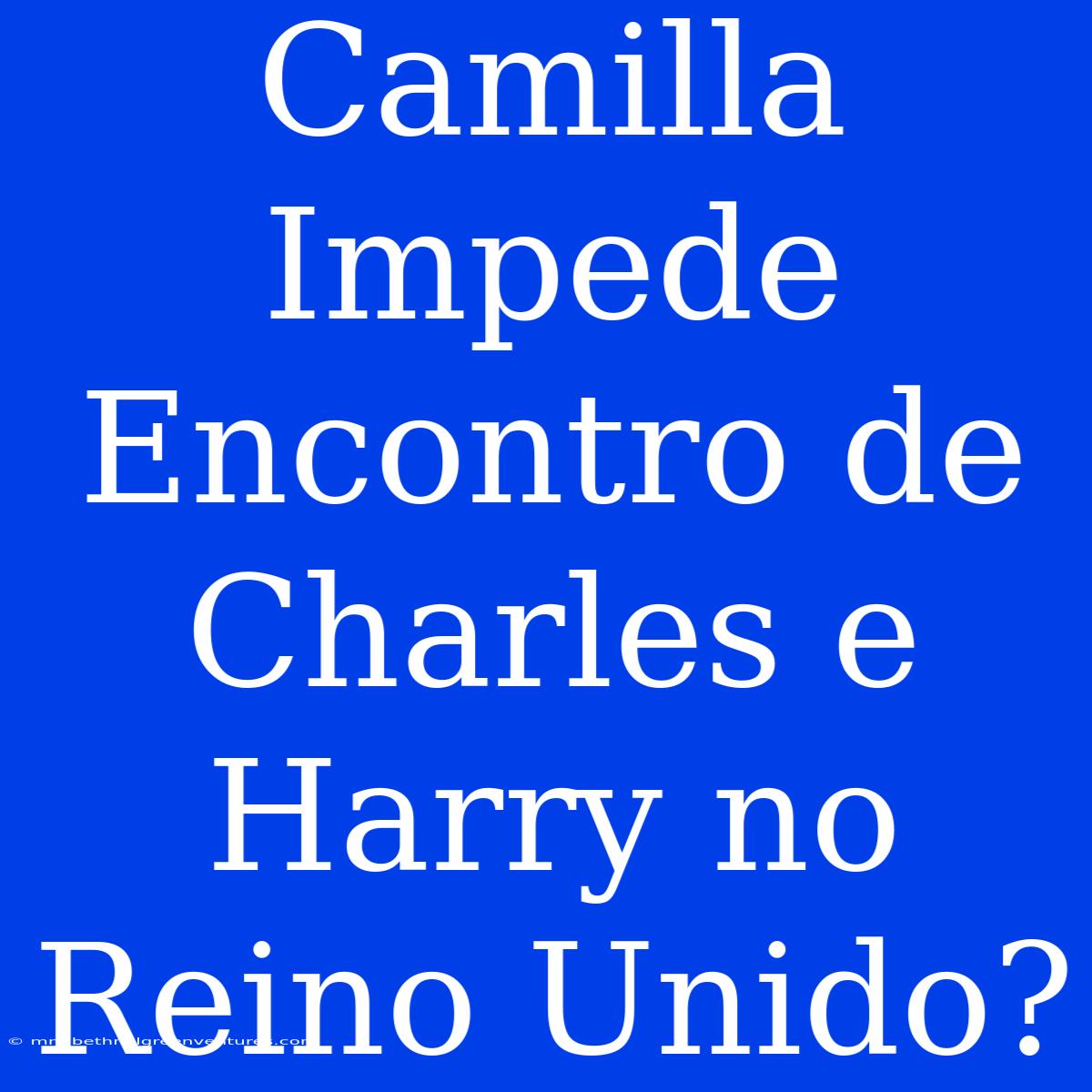 Camilla Impede Encontro De Charles E Harry No Reino Unido?