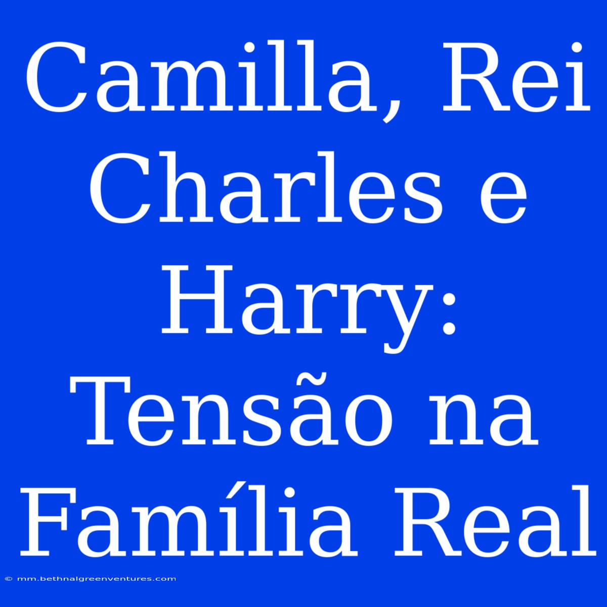 Camilla, Rei Charles E Harry: Tensão Na Família Real