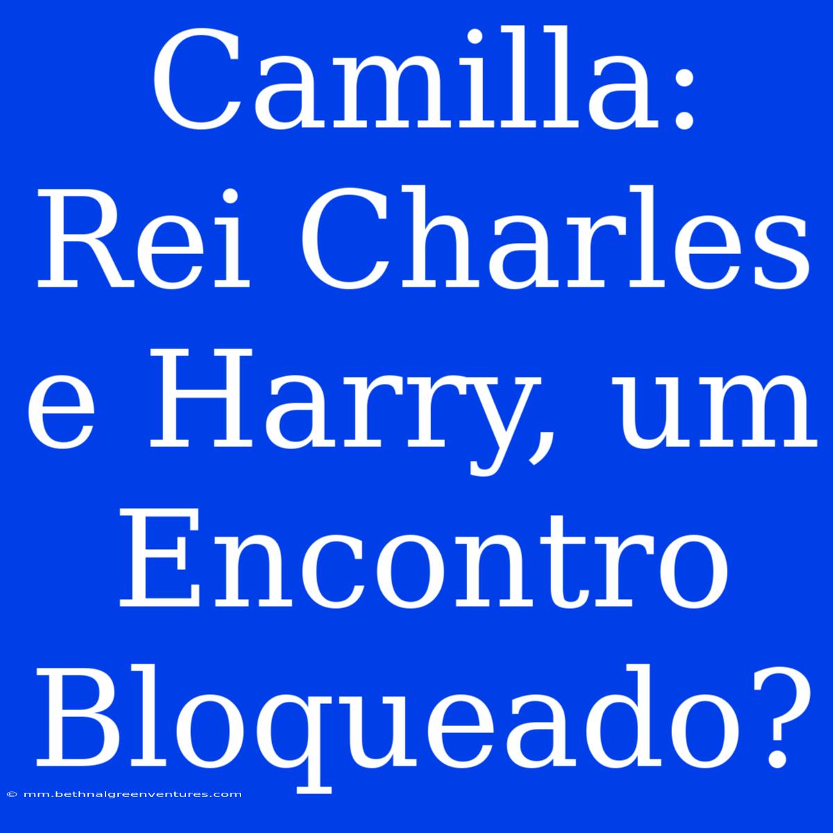 Camilla: Rei Charles E Harry, Um Encontro Bloqueado?