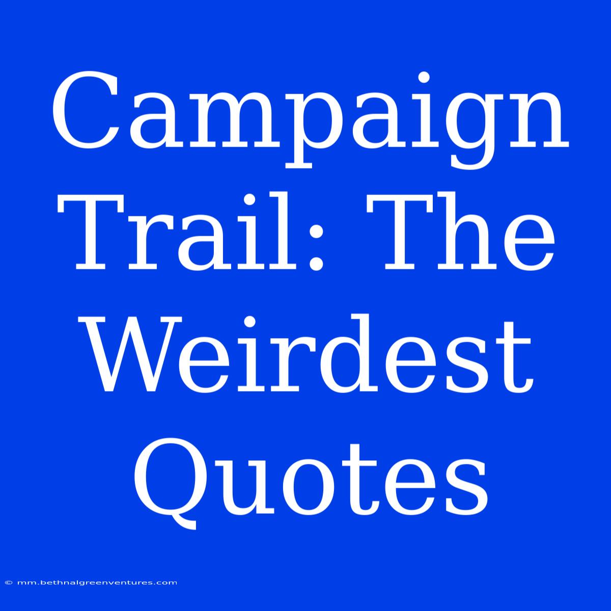 Campaign Trail: The Weirdest Quotes