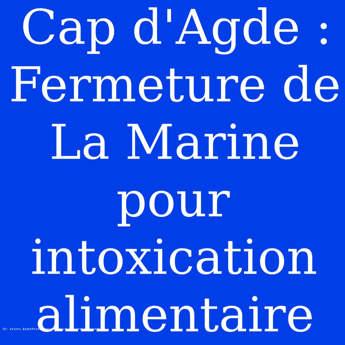 Cap D'Agde : Fermeture De La Marine Pour Intoxication Alimentaire