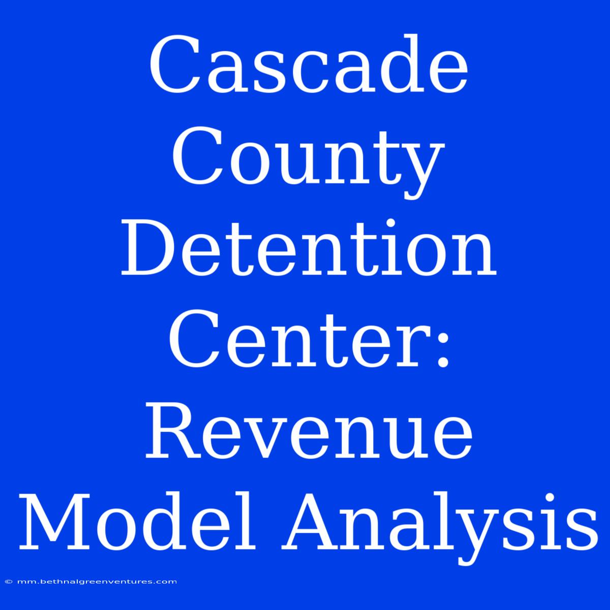 Cascade County Detention Center: Revenue Model Analysis