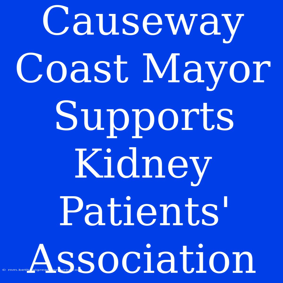 Causeway Coast Mayor Supports Kidney Patients' Association