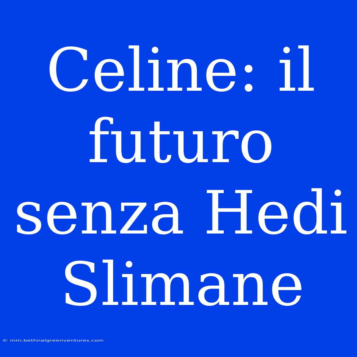 Celine: Il Futuro Senza Hedi Slimane