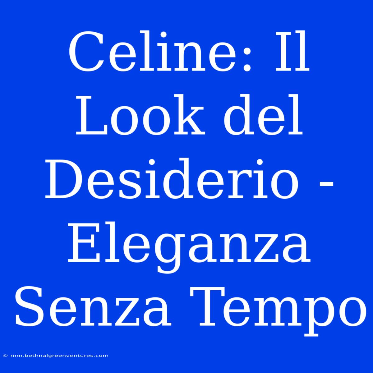 Celine: Il Look Del Desiderio - Eleganza Senza Tempo