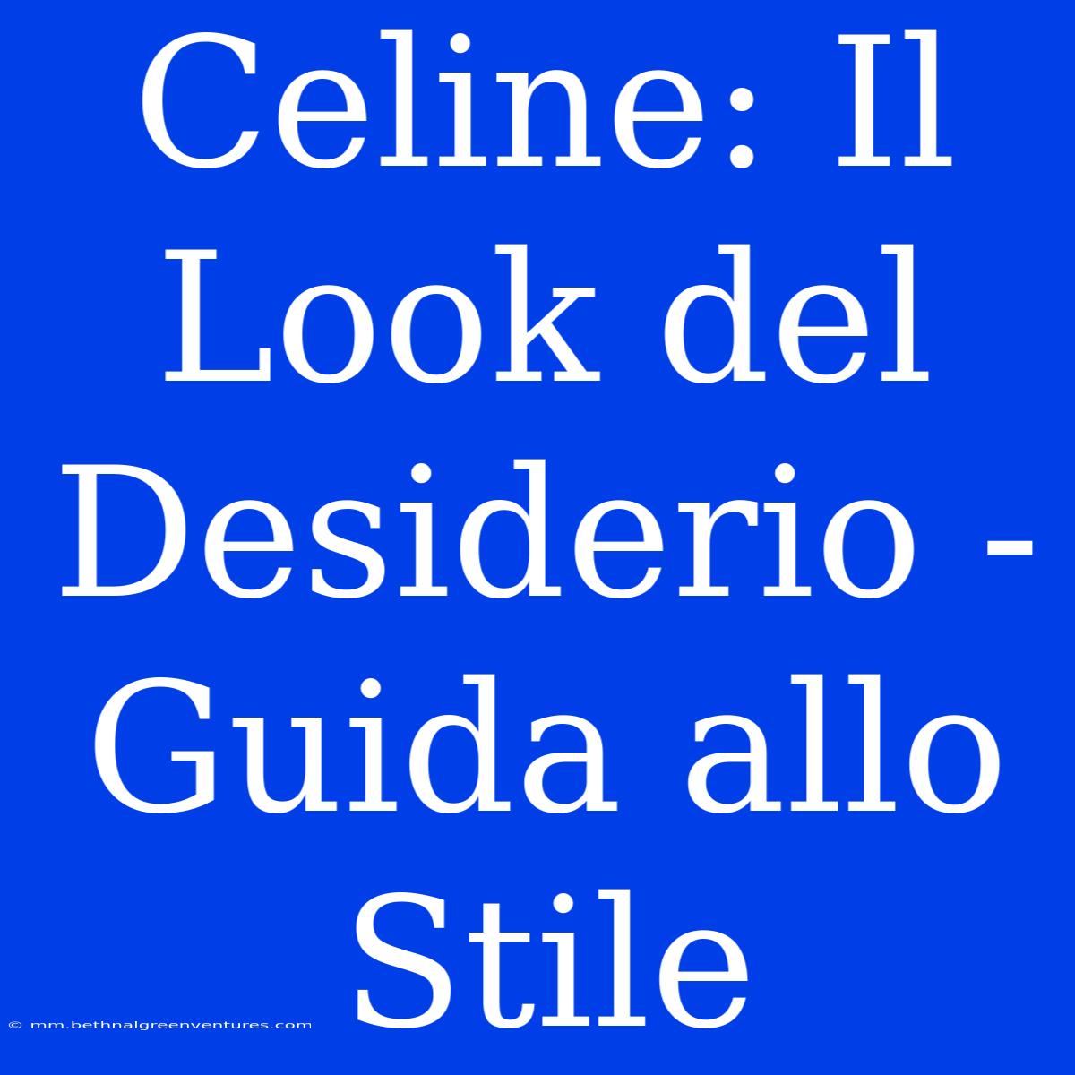 Celine: Il Look Del Desiderio - Guida Allo Stile