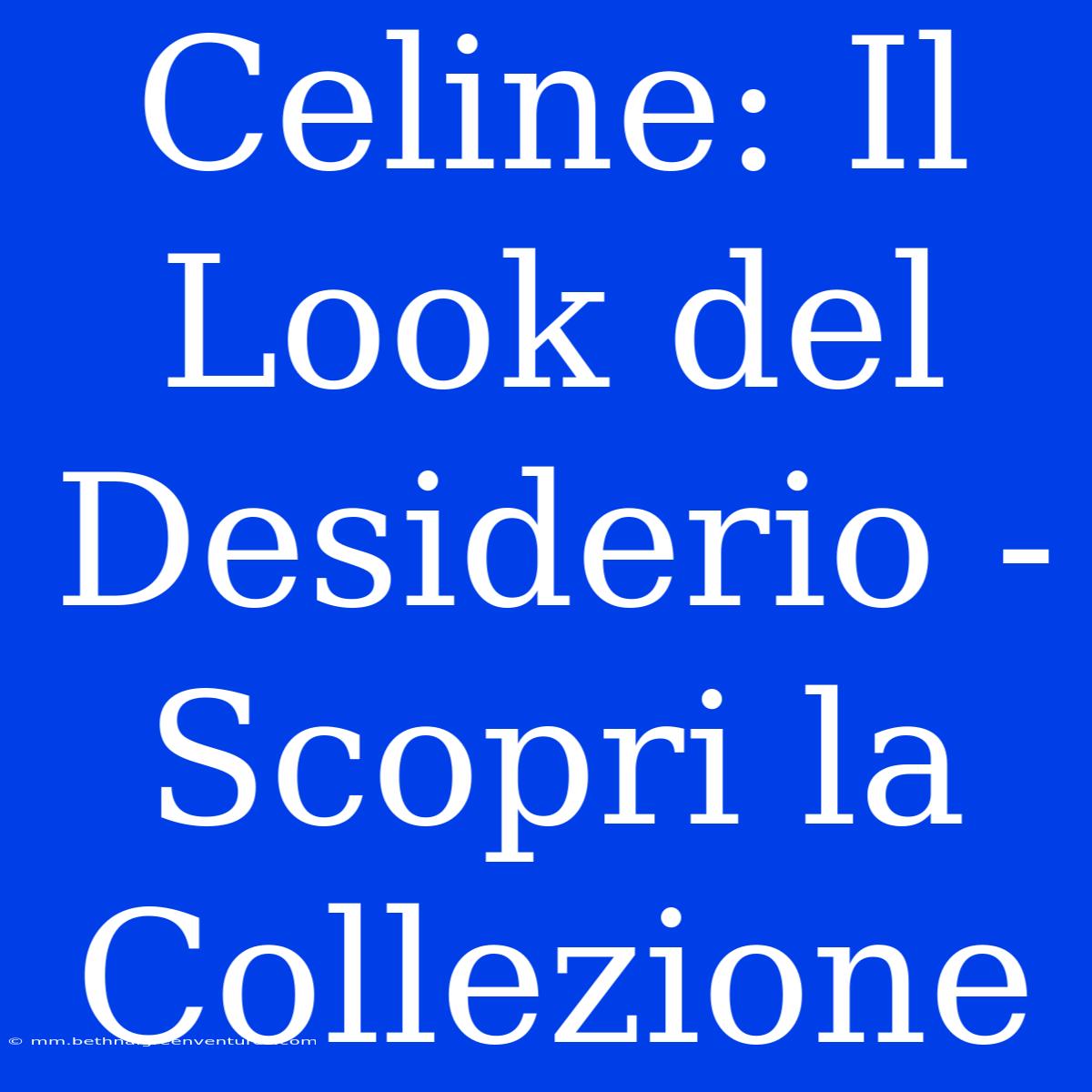 Celine: Il Look Del Desiderio -  Scopri La Collezione 