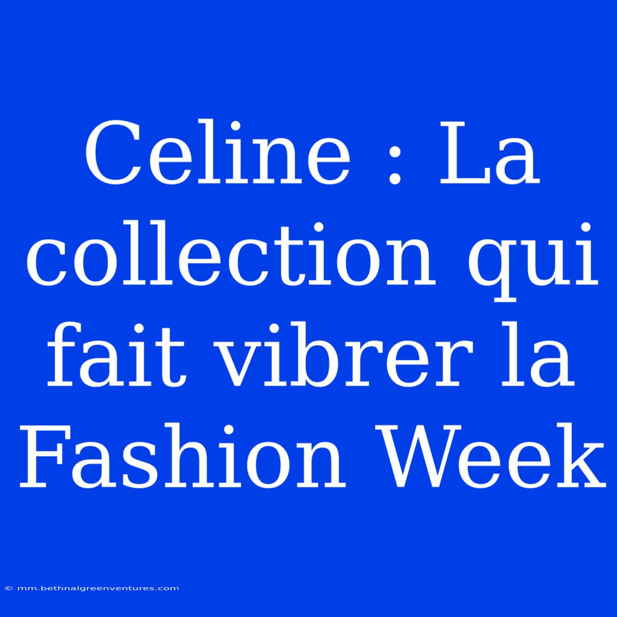 Celine : La Collection Qui Fait Vibrer La Fashion Week