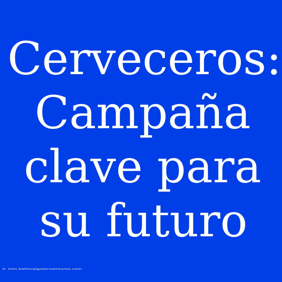 Cerveceros: Campaña Clave Para Su Futuro