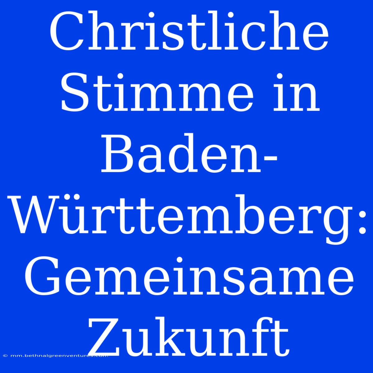 Christliche Stimme In Baden-Württemberg: Gemeinsame Zukunft