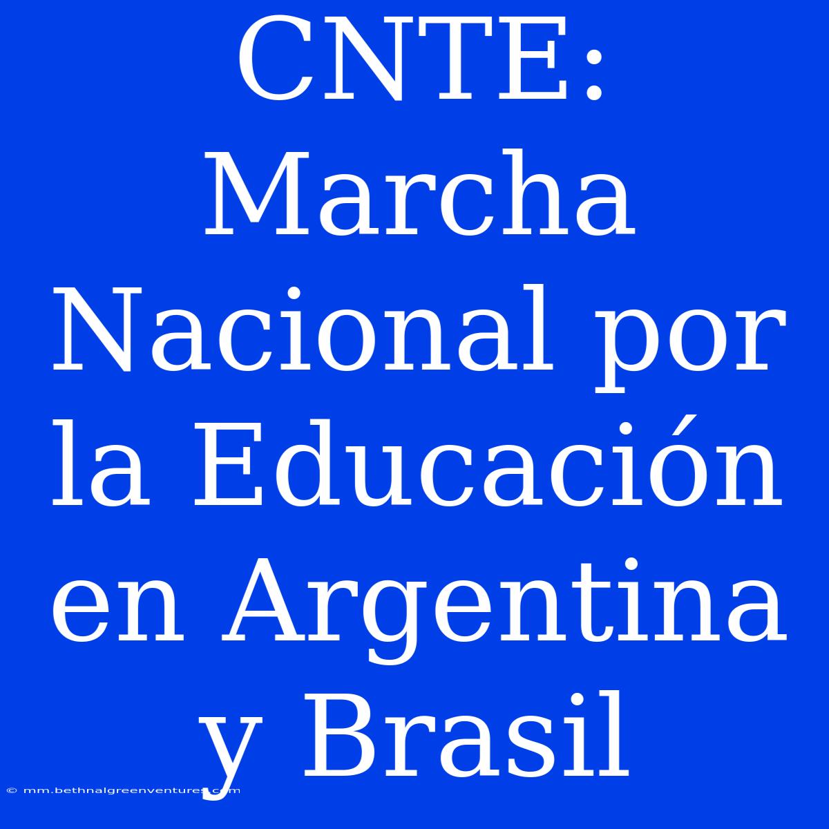 CNTE: Marcha Nacional Por La Educación En Argentina Y Brasil