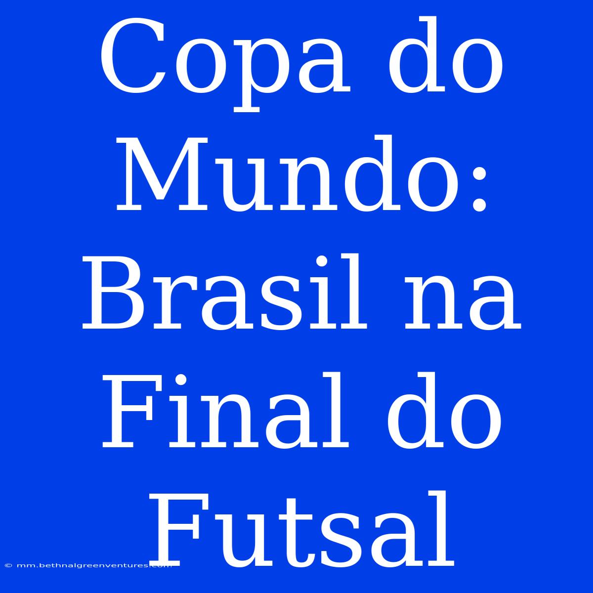 Copa Do Mundo: Brasil Na Final Do Futsal