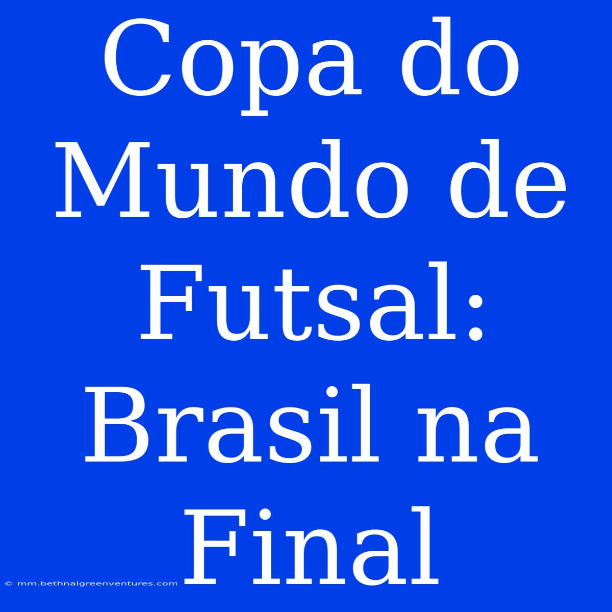 Copa Do Mundo De Futsal: Brasil Na Final