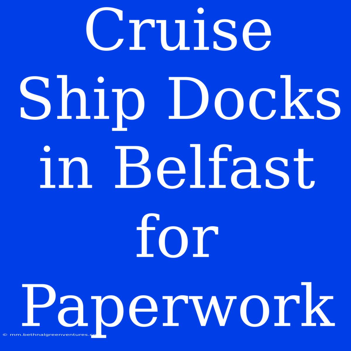 Cruise Ship Docks In Belfast For Paperwork 