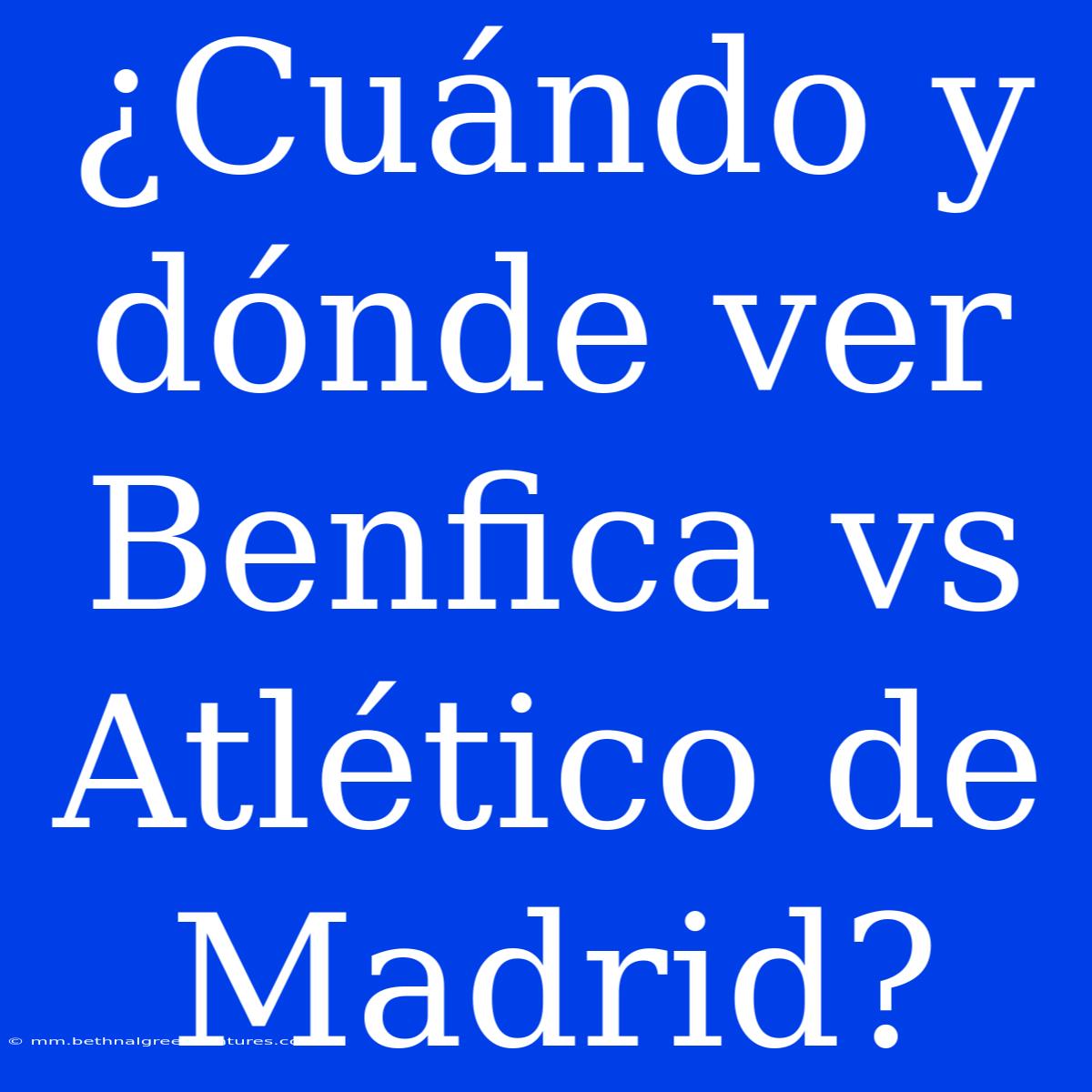 ¿Cuándo Y Dónde Ver Benfica Vs Atlético De Madrid?