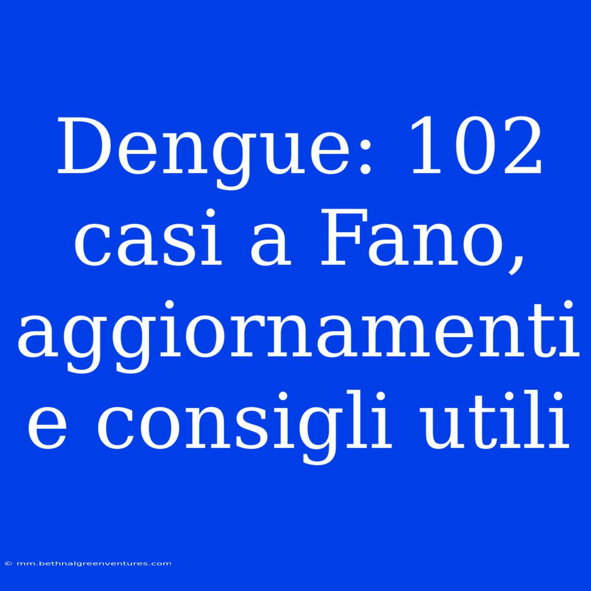 Dengue: 102 Casi A Fano, Aggiornamenti E Consigli Utili