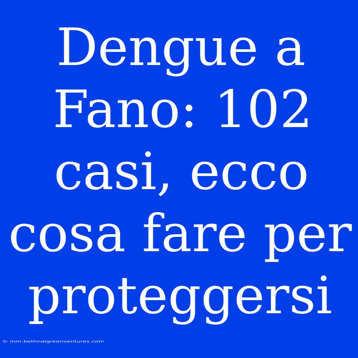 Dengue A Fano: 102 Casi, Ecco Cosa Fare Per Proteggersi