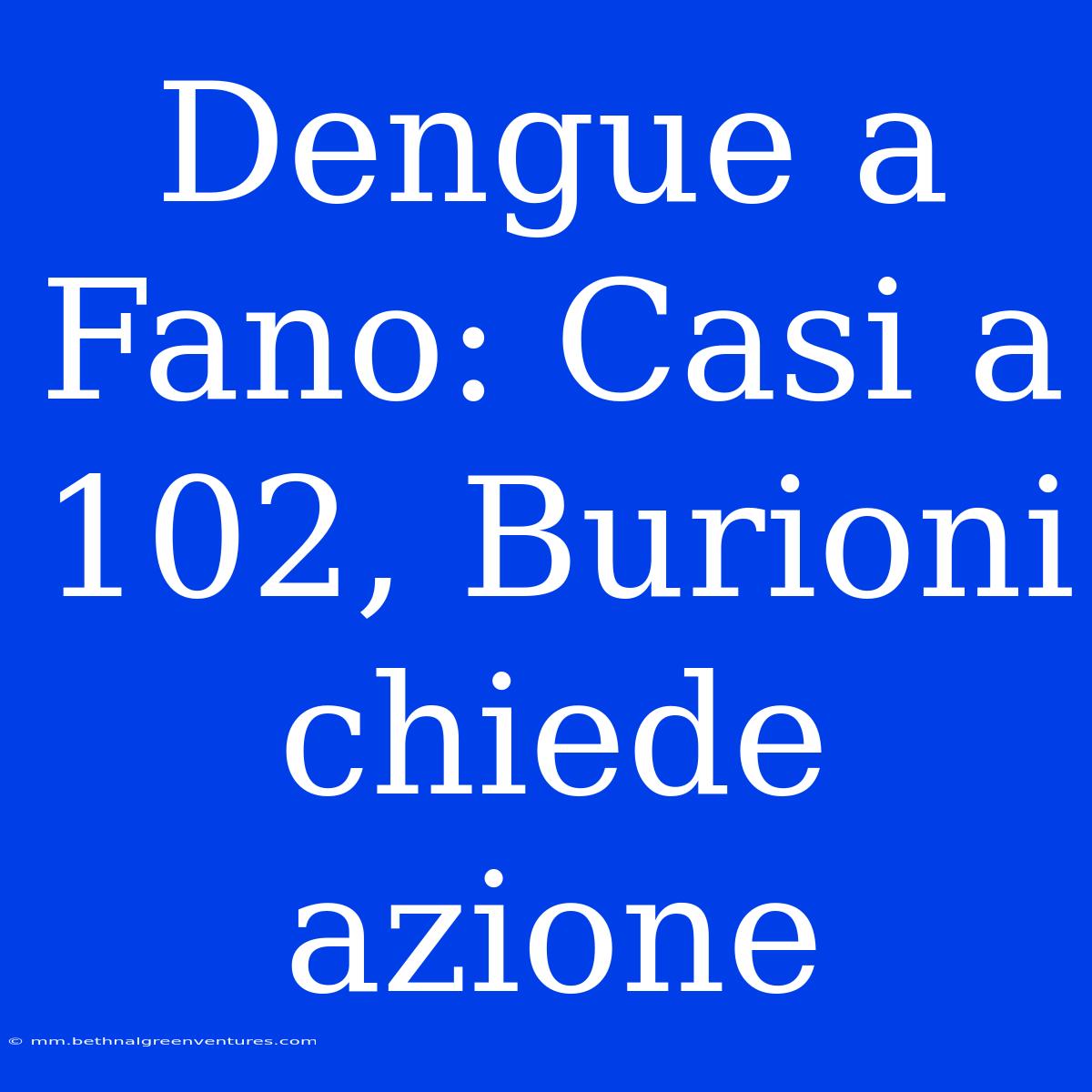 Dengue A Fano: Casi A 102, Burioni Chiede Azione