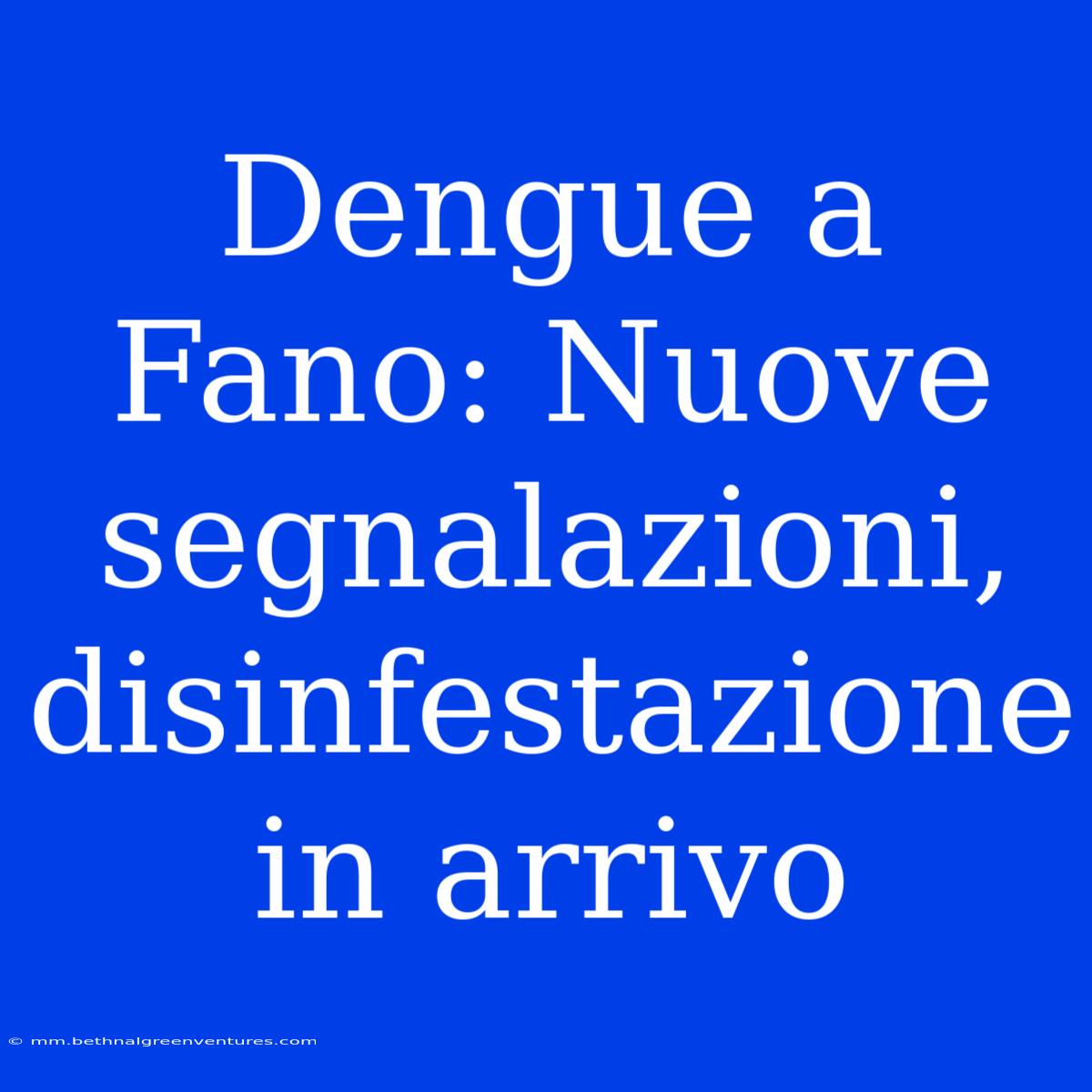 Dengue A Fano: Nuove Segnalazioni, Disinfestazione In Arrivo