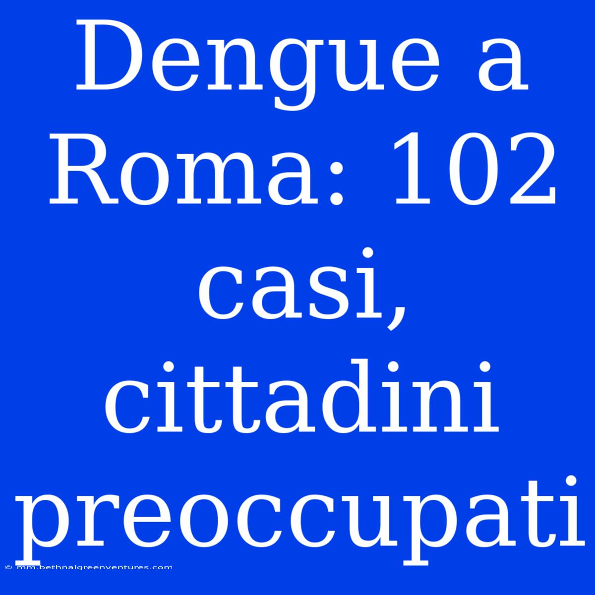 Dengue A Roma: 102 Casi, Cittadini Preoccupati