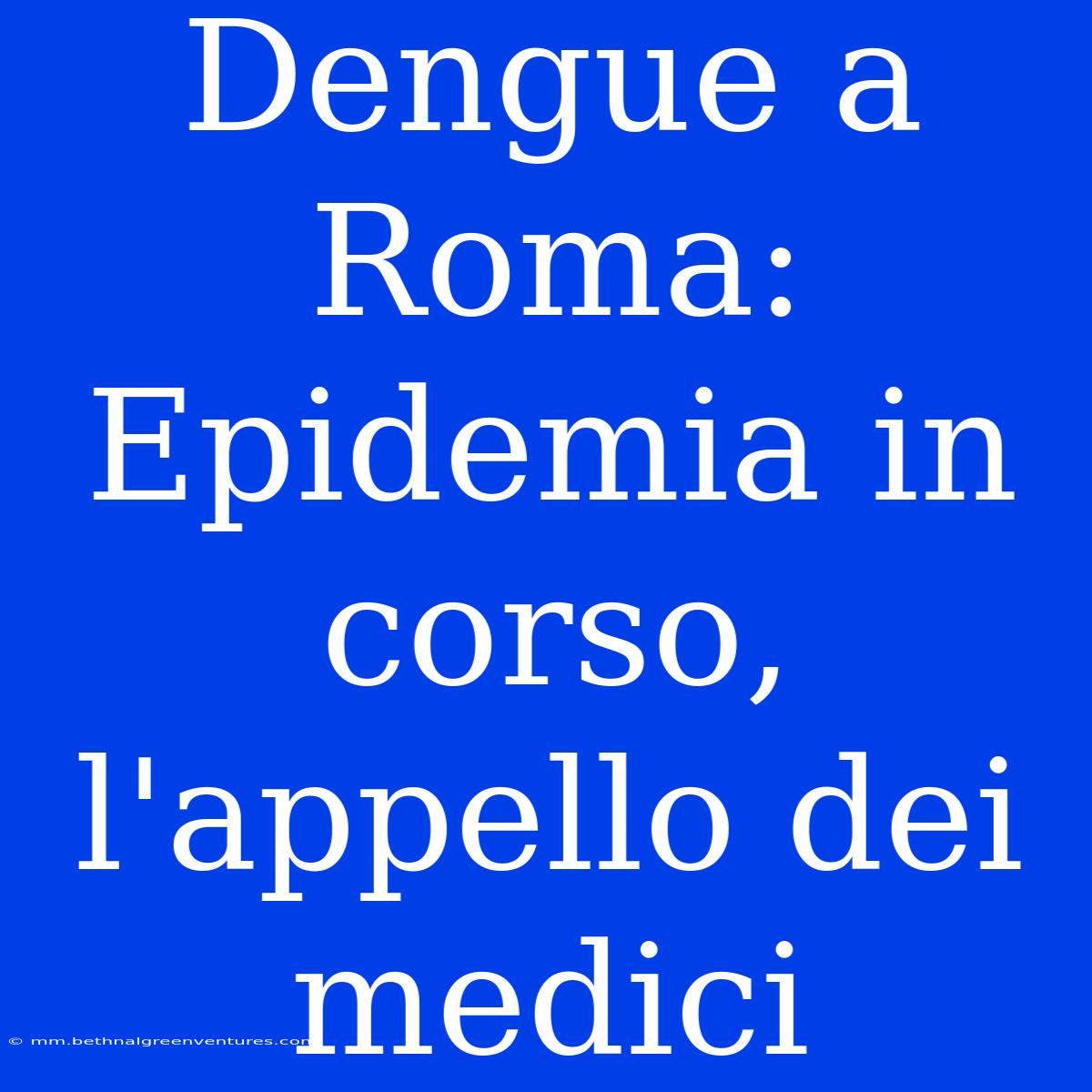 Dengue A Roma: Epidemia In Corso, L'appello Dei Medici