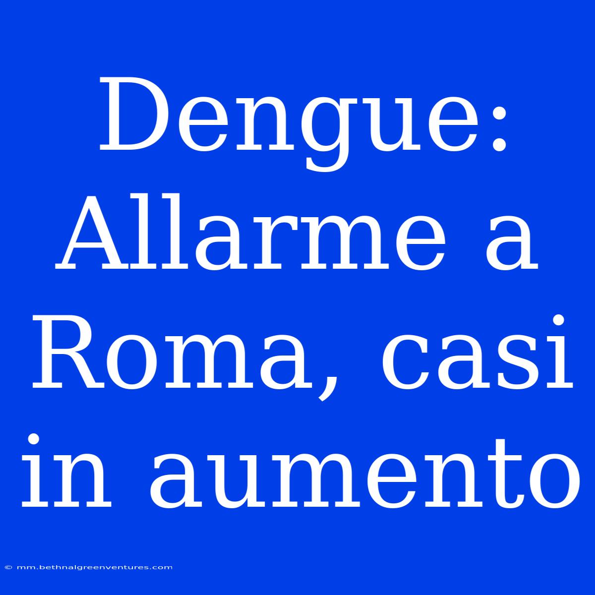 Dengue: Allarme A Roma, Casi In Aumento