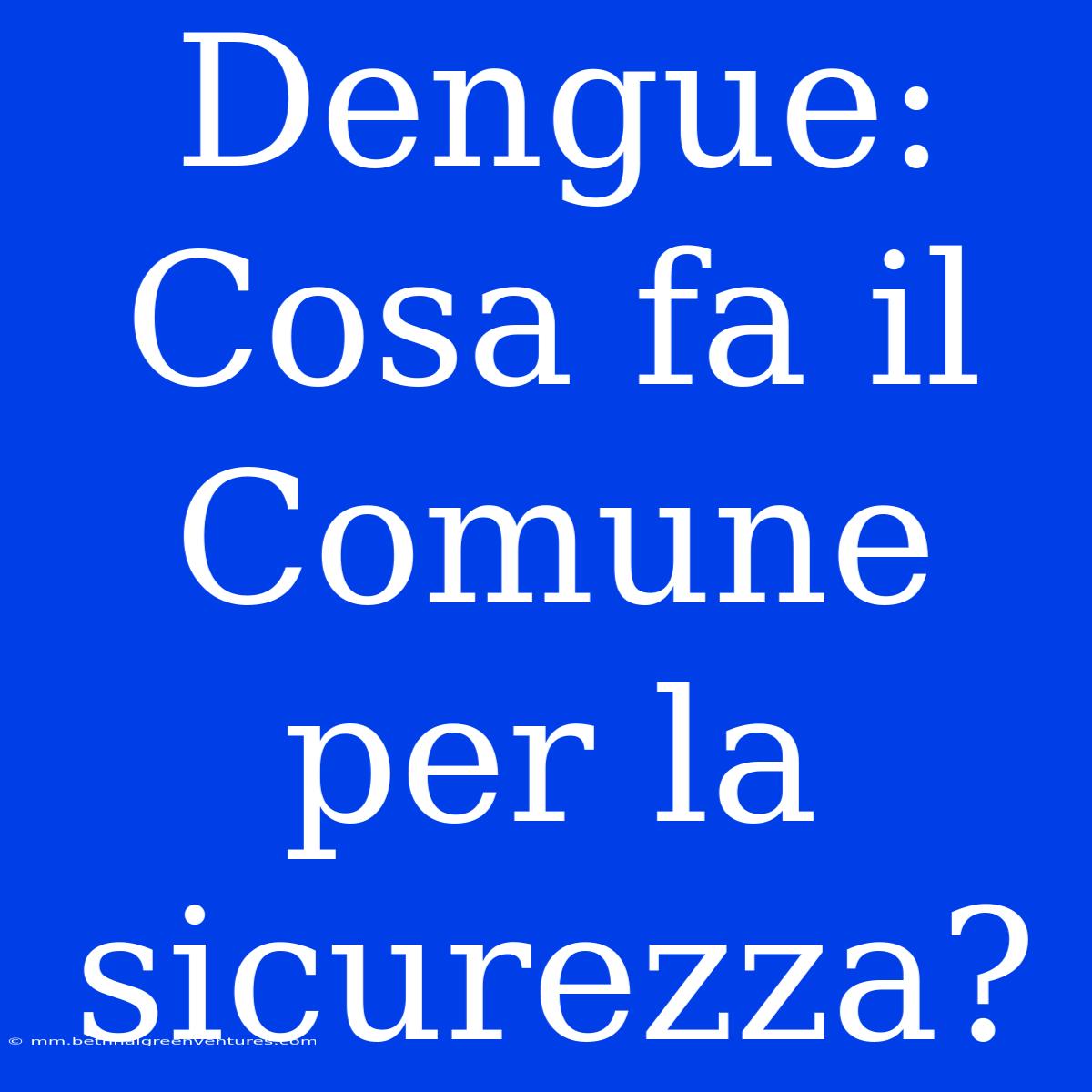 Dengue: Cosa Fa Il Comune Per La Sicurezza?