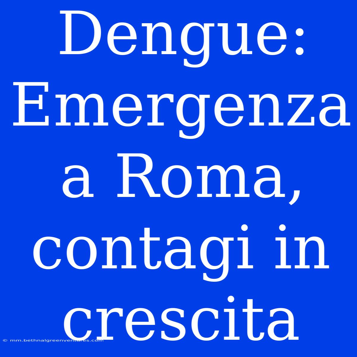 Dengue: Emergenza A Roma, Contagi In Crescita