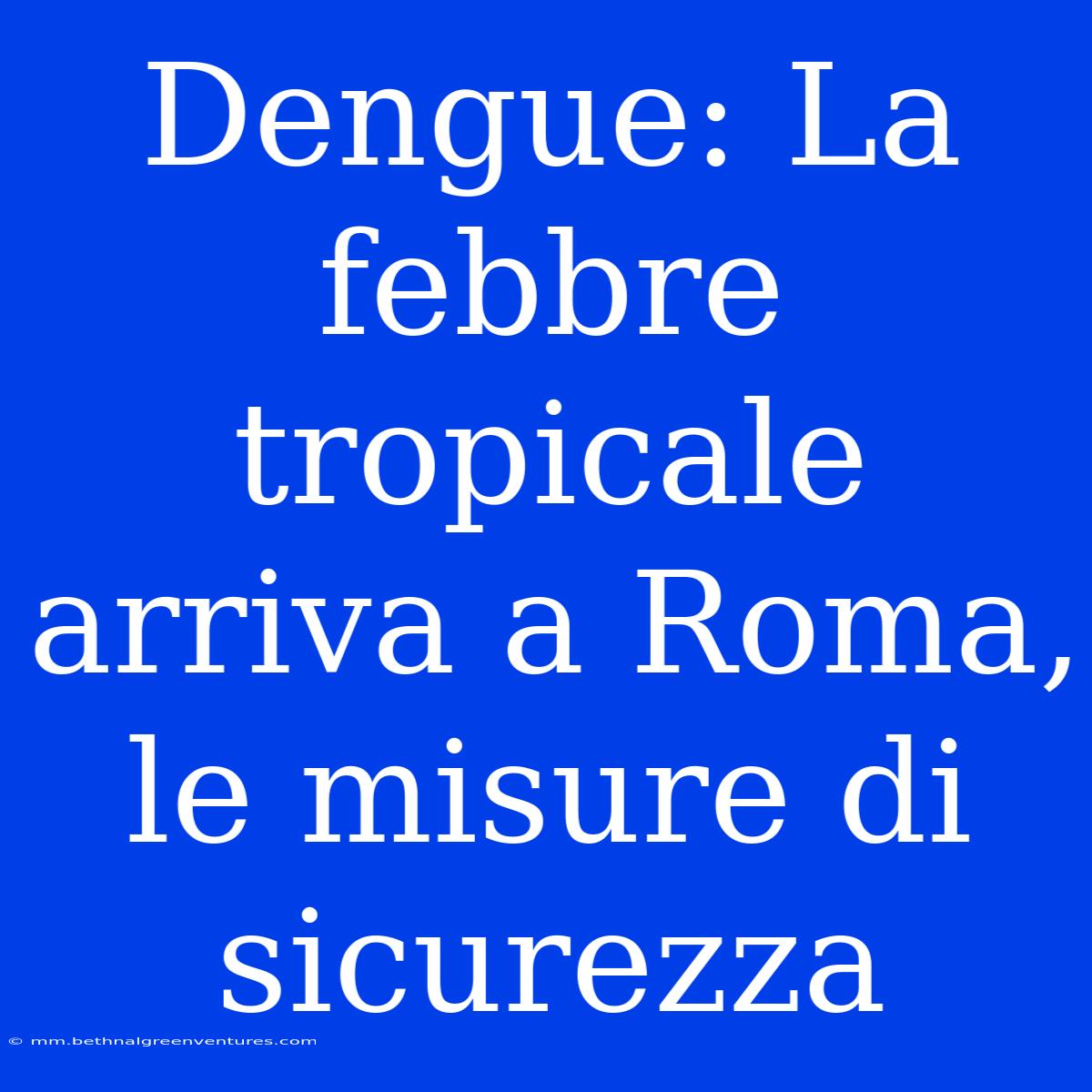 Dengue: La Febbre Tropicale Arriva A Roma, Le Misure Di Sicurezza