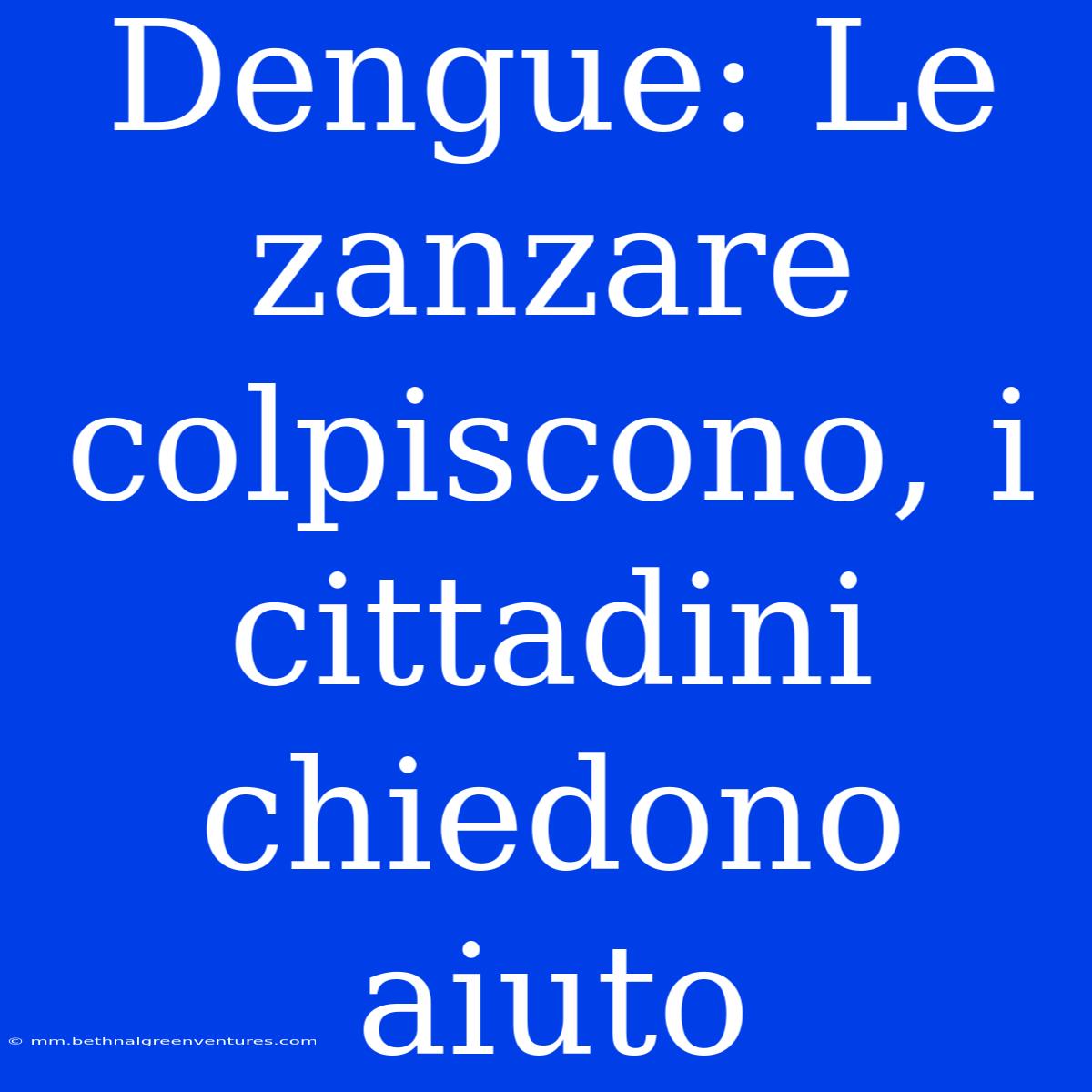 Dengue: Le Zanzare Colpiscono, I Cittadini Chiedono Aiuto