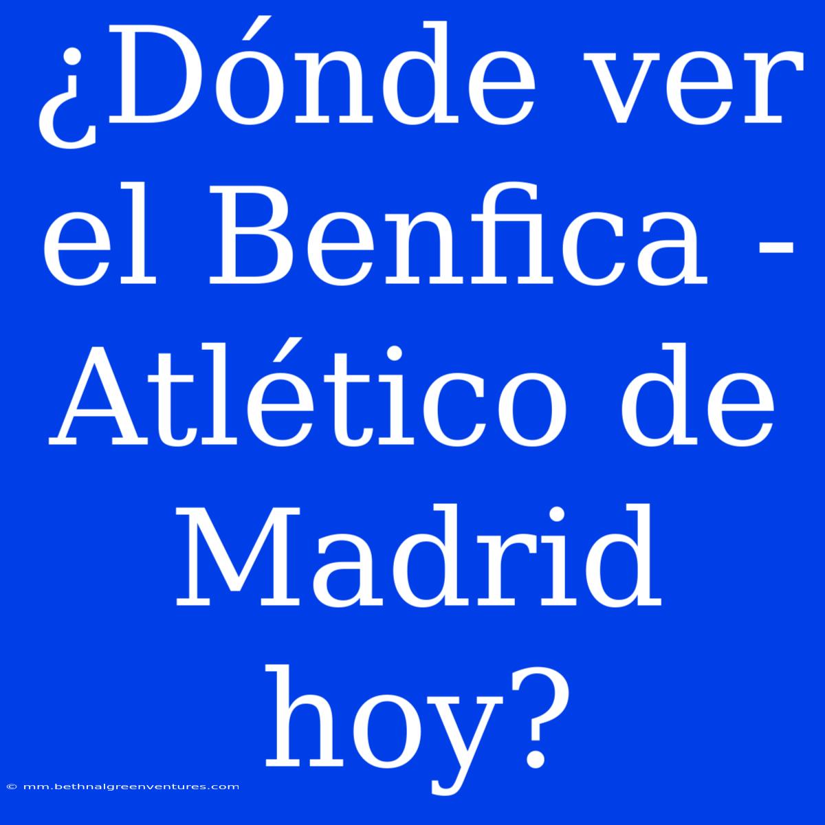 ¿Dónde Ver El Benfica - Atlético De Madrid Hoy?