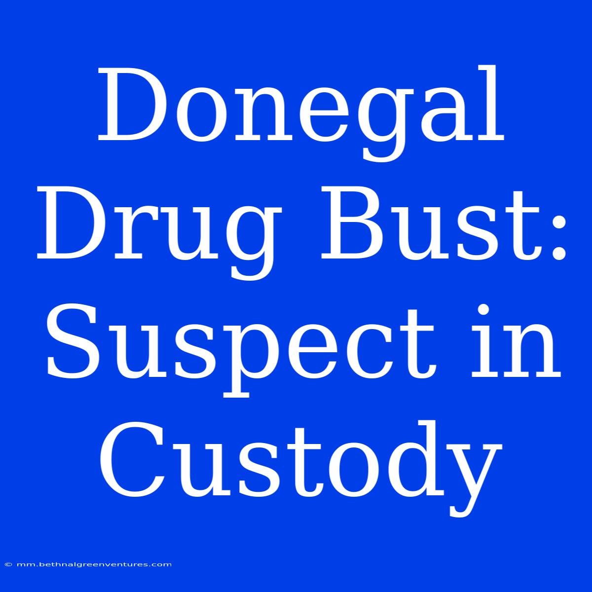 Donegal Drug Bust: Suspect In Custody