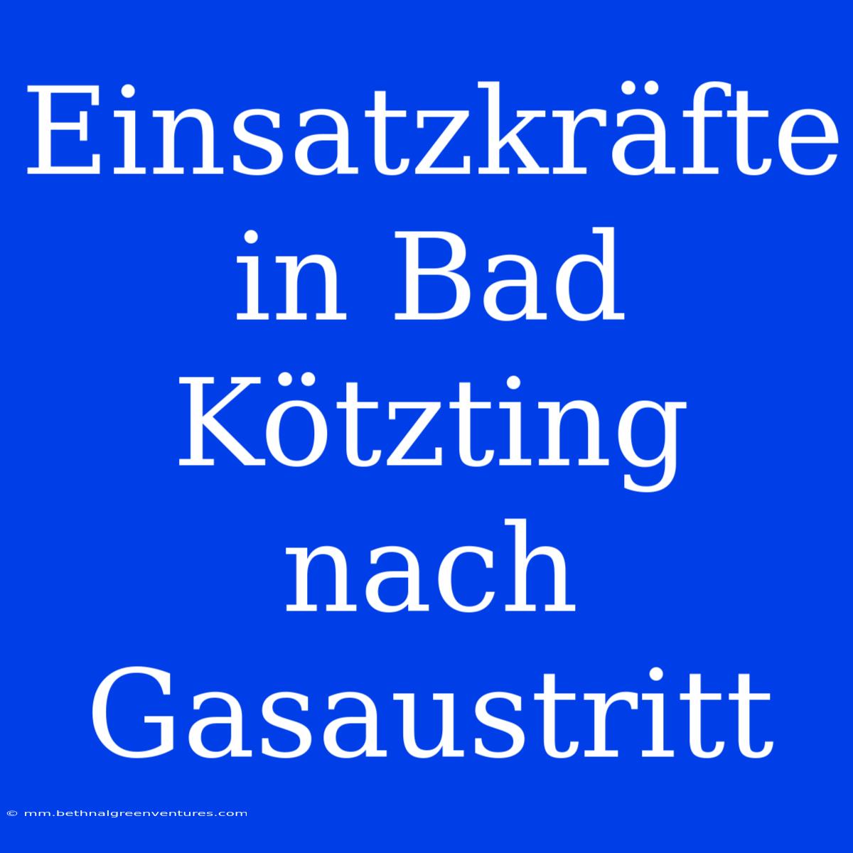 Einsatzkräfte In Bad Kötzting Nach Gasaustritt